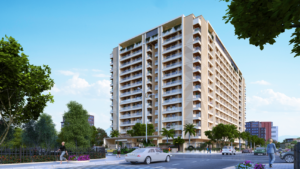 floresta 6